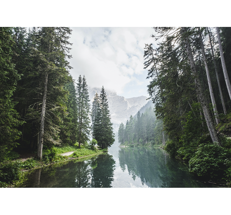 Tapisserie paysage Écho de la forêt tranquille - TenStickers