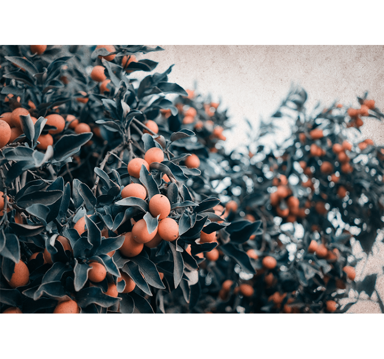 Tapisserie fleur branche de fruits citrus - TenStickers