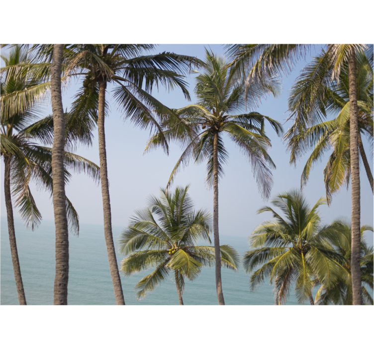 Tapisserie nature paysage de palmiers - TenStickers