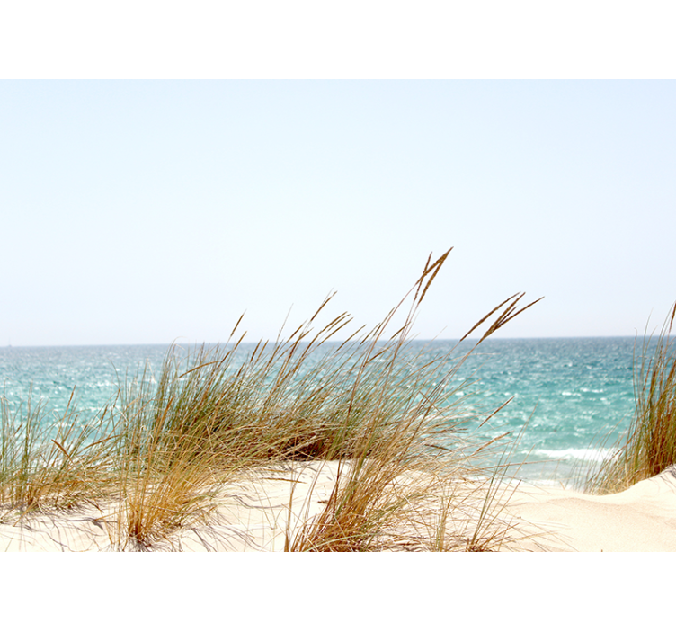 Tapisserie nature vue paisible sur le littoral - TenStickers