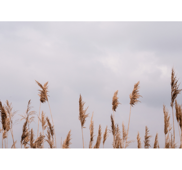 Tapisserie arbre silhouettes d'herbes hautes - TenStickers