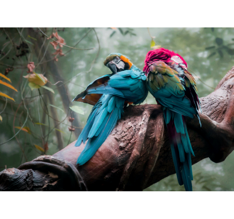 Tapisserie animaux perroquets colorés enlacés - TenStickers