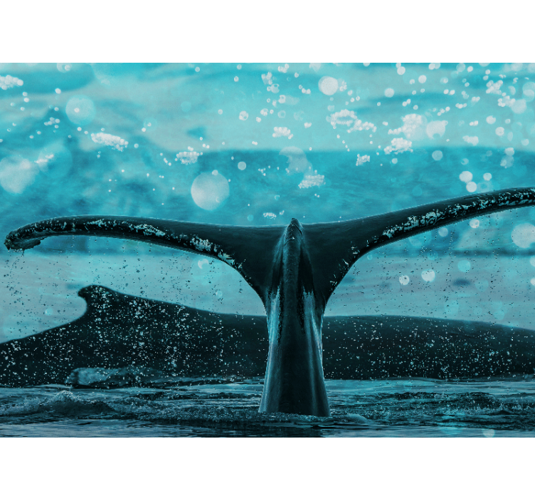 Tapisserie animaux queue de baleine éclaboussant - TenStickers