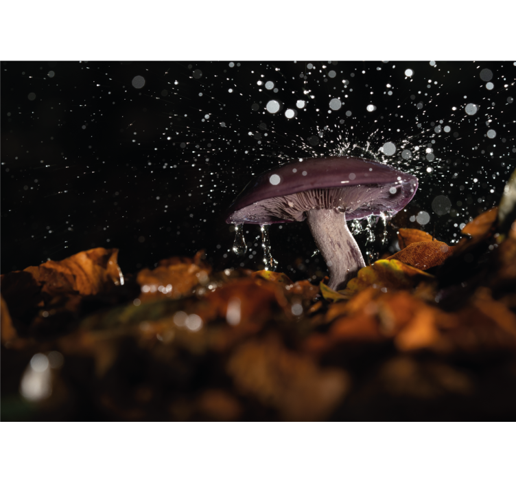 Tapisserie nature éclaboussure d'eau champignon - TenStickers
