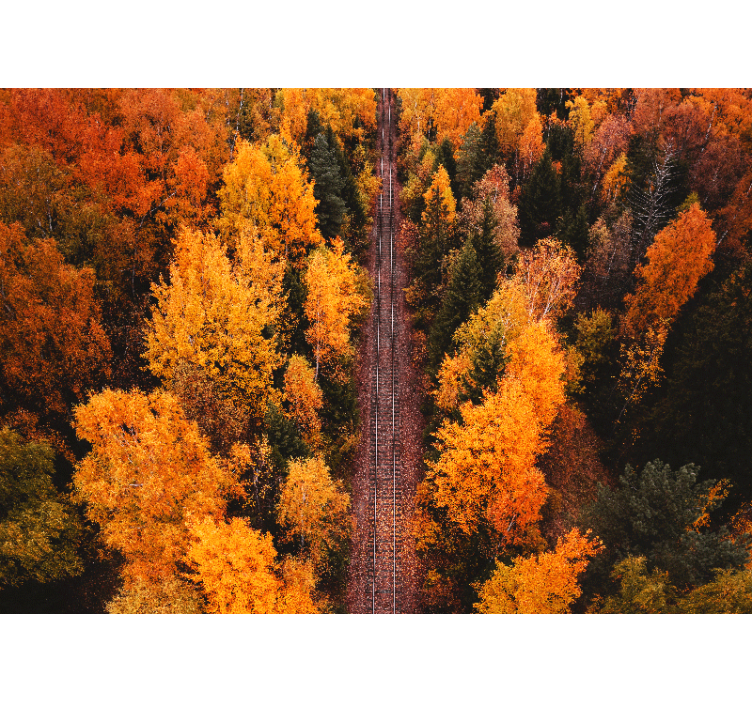 Tapisserie paysage sentier forestier d'automne - TenStickers