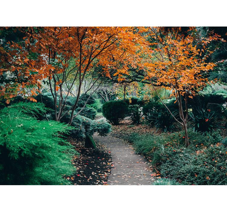 Tapisserie nature sentier parmi les arbres - TenStickers