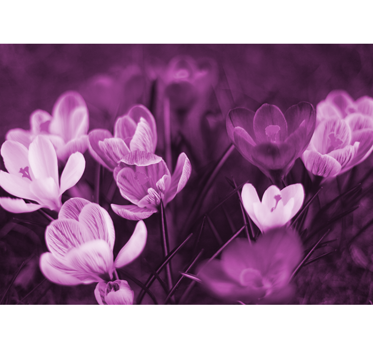 Tapisserie coquelicots fleuron délicat - TenStickers