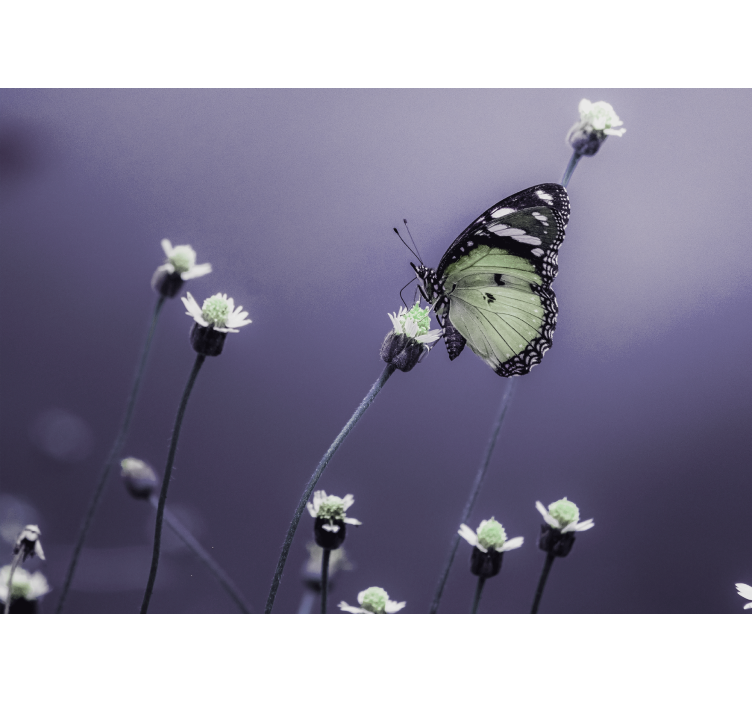 Tapisserie fleur papillon sur fleurs - TenStickers