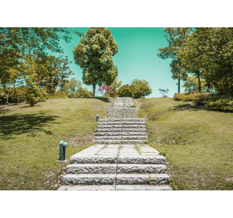 Papier peint nature escalier à travers la nature - TenStickers