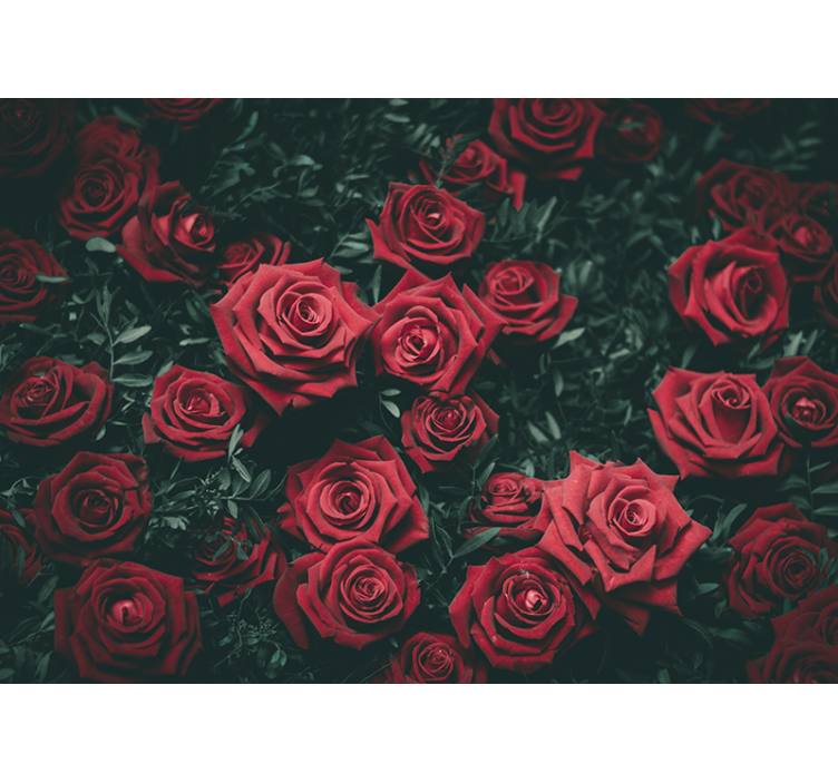 Tapisserie fleur roses rouges romantiques - TenStickers