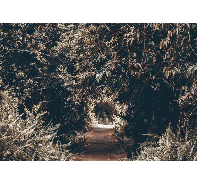 Papier peint nature sentier forestier - TenStickers