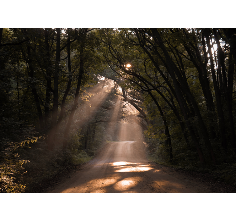 Papier peint nature sentier forestier radieux - TenStickers