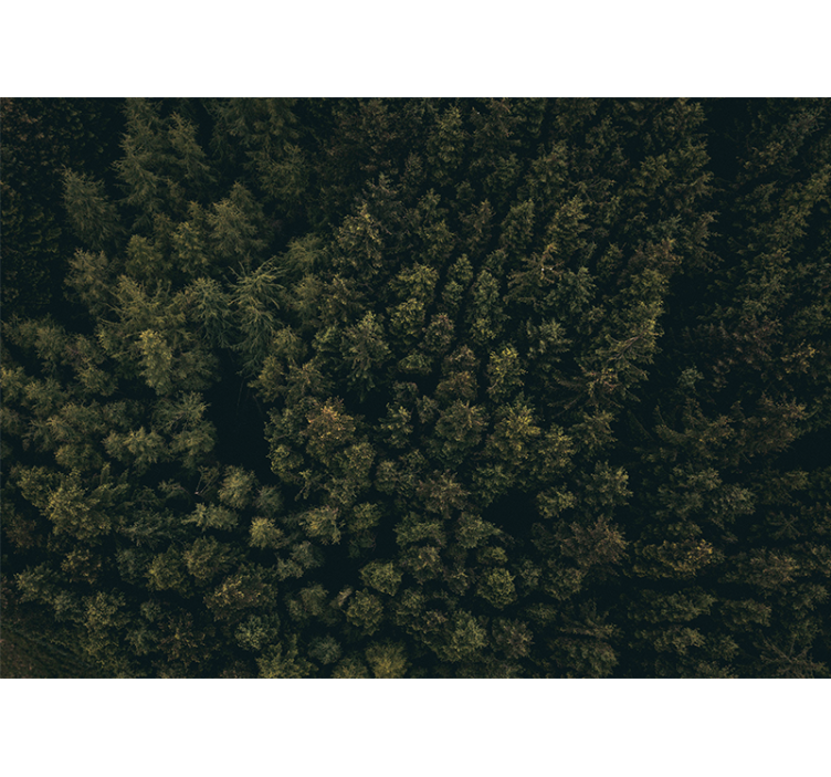 Tapisserie nature canopée de verdure luxuriante - TenStickers