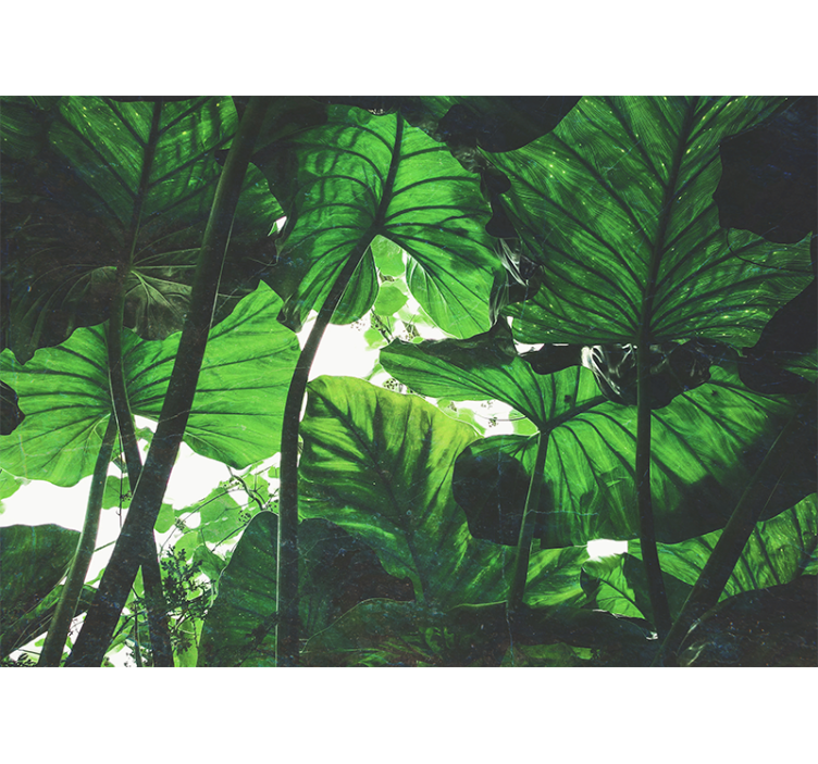 Tapisserie nature canopée de feuilles luxuriante - TenStickers