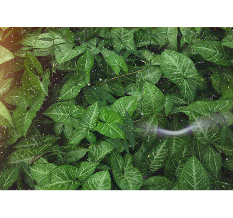 Tapisserie nature composition de feuilles vives - TenStickers