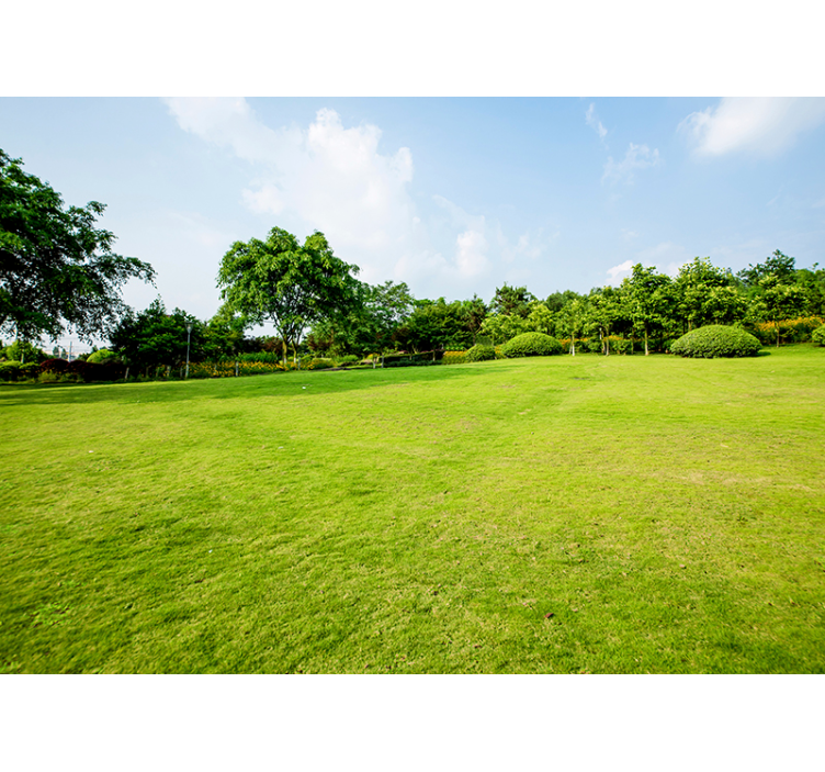 Tapisserie nature panorama de prairie verdoyante - TenStickers