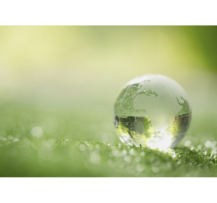 Tapisserie nature globe sur herbe - TenStickers