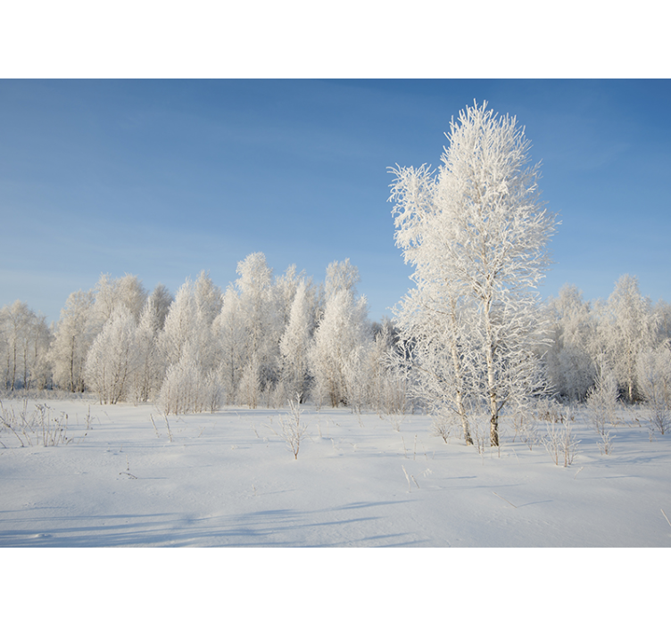 Tapisserie paysage arbres couverts de neige - TenStickers