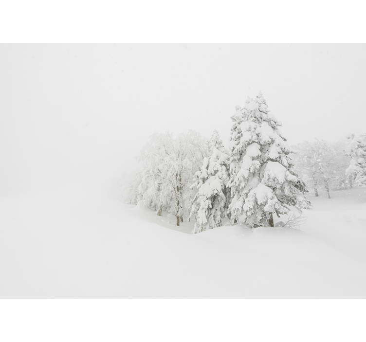 Tapisserie nature scène de forêt hivernale - TenStickers