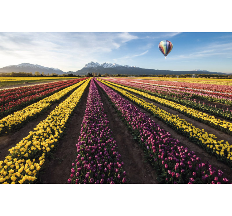 Tapisserie fleur champs de tulipes colorés - TenStickers