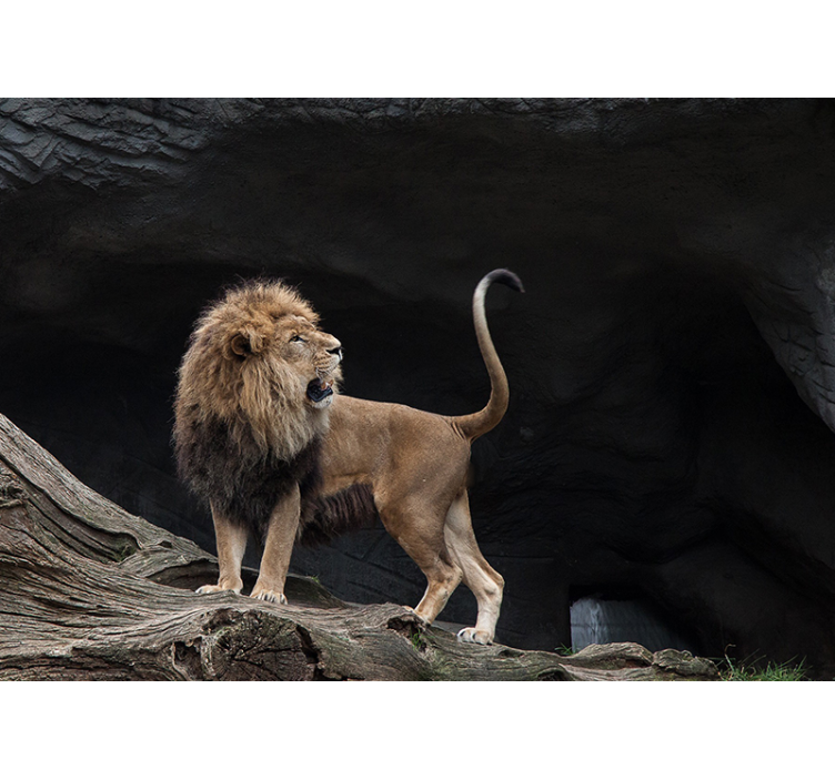 Tapisserie lion portrait majestueux - TenStickers