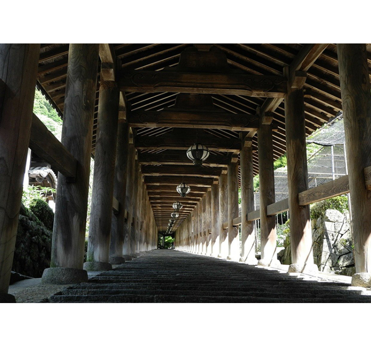 Tapisserie forêt vue sur chemin en bois - TenStickers