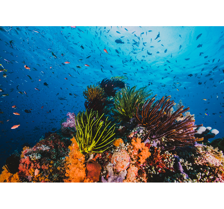 Tapisserie mer paradis corallien sous-marin - TenStickers