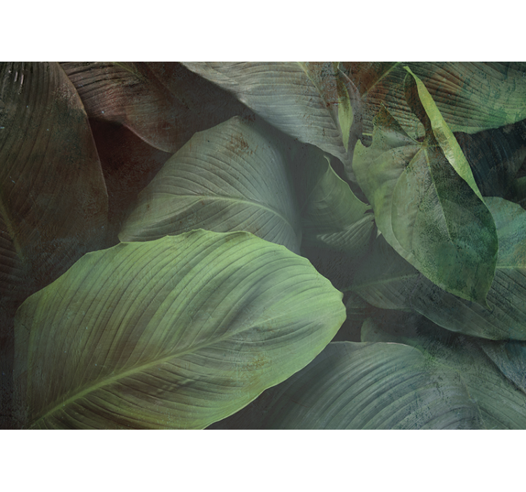 Papier peint nature texture de feuilles tropicales - TenStickers