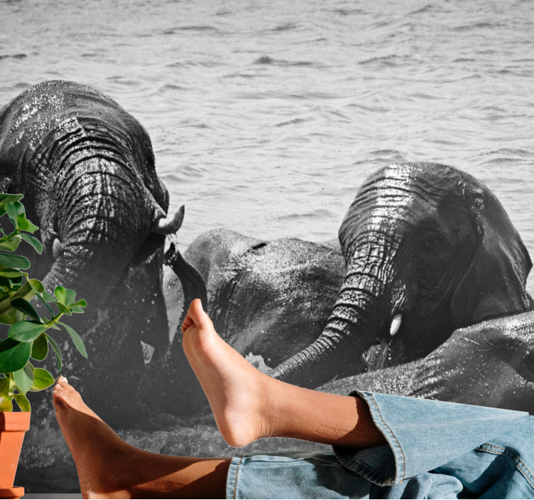 Tapisserie animaux Éléphants dans le liquide - TenStickers