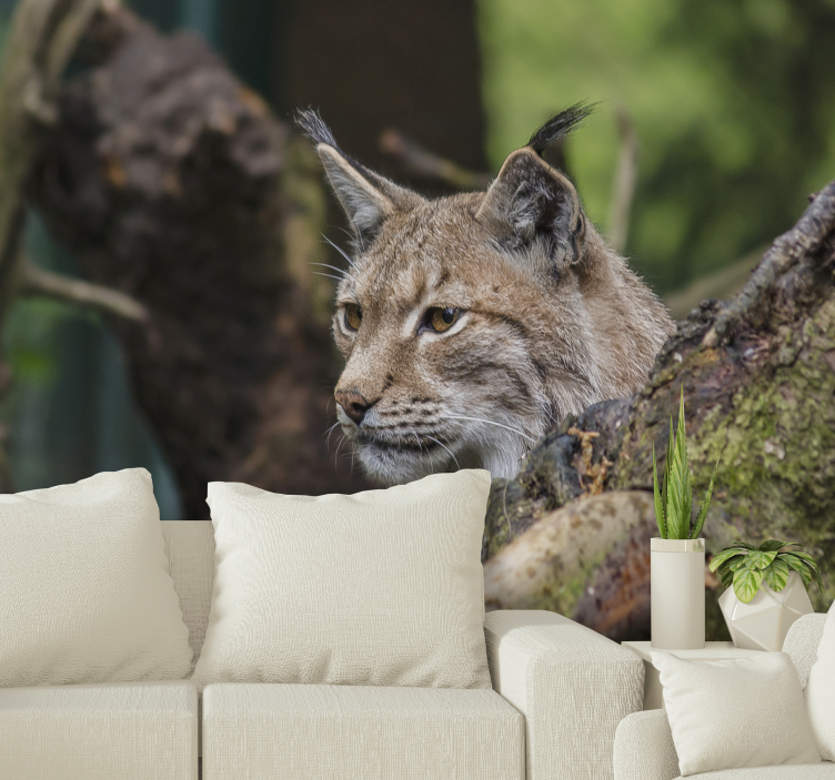 Tapisserie animaux lynx dans la nature - TenStickers
