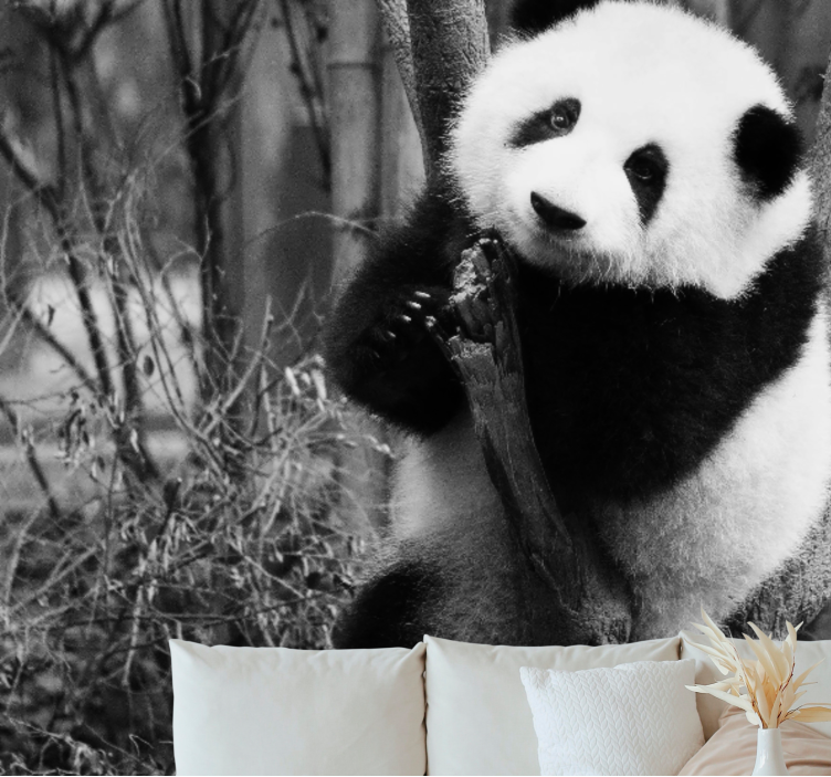 Tapisserie animaux panda sur un arbre - TenStickers