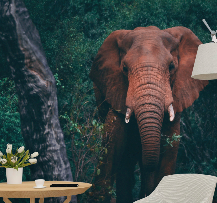 Tapisserie animaux présence d'Éléphant majestueux - TenStickers