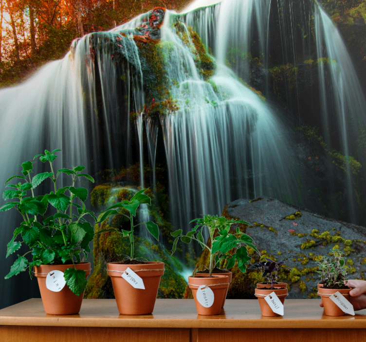 Tapisserie cascade eau douce qui tombe - TenStickers