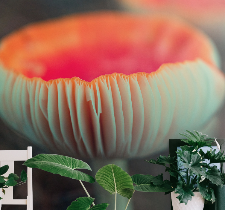 Tapisserie coquelicots fleur de coquelicot élégante - TenStickers