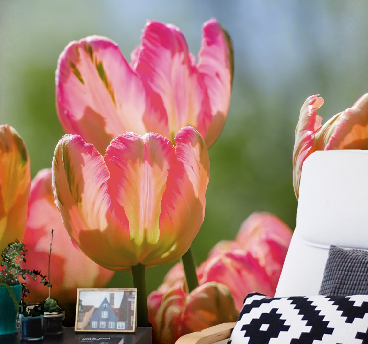 Tapisserie coquelicots grandes tulipes roses - TenStickers