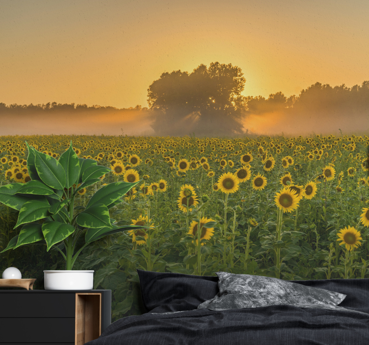 Tapisserie fleur champ de tournesols au coucher de soleil - TenStickers