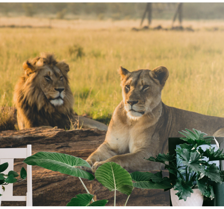 Tapisserie lion duo majestueux - TenStickers