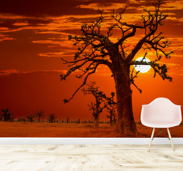 Tapisserie nature arbres majestueux au coucher du soleil - TenStickers