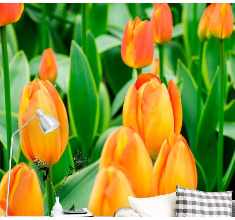 Tapisserie tulipes Épanouissement des tulipes - TenStickers