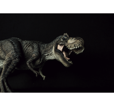 Tapisserie animaux dinosaures et plantes - TenStickers