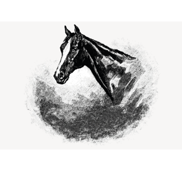 Tapisserie animaux tête de cheval - TenStickers