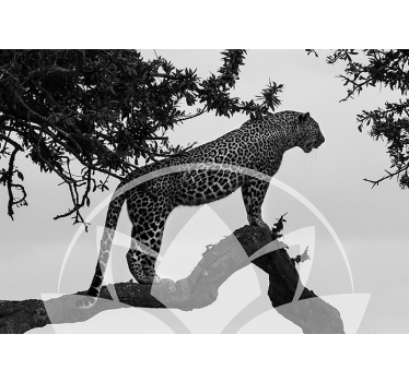 Tapisserie animaux léopard dans un arbre - TenStickers