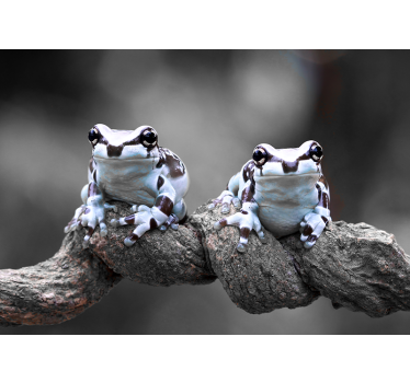 Tapisserie animaux couple de rainettes - TenStickers