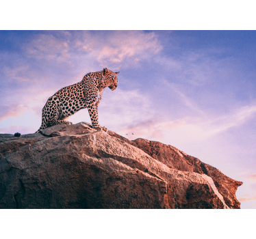 Tapisserie animaux léopard sur rocher - TenStickers