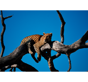 Tapisserie animaux léopard sur une branche - TenStickers