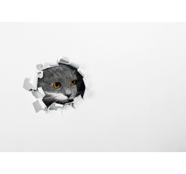 Photo murale d'animaux Chat mignon - TenStickers