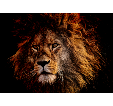 Tapisserie lion présence lion majestueux - TenStickers