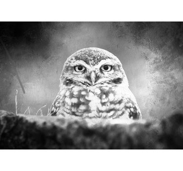Tapisserie animaux portrait de hibou majestueux - TenStickers