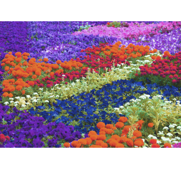 Tapisserie autres fleurs champ coloré - TenStickers