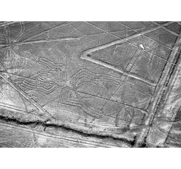 Tapisserie animaux araignée de nazca - TenStickers